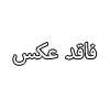 موجودات غیر ارگانیک