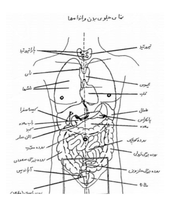 چاکراهای اصلی و فرعی استاد قندی