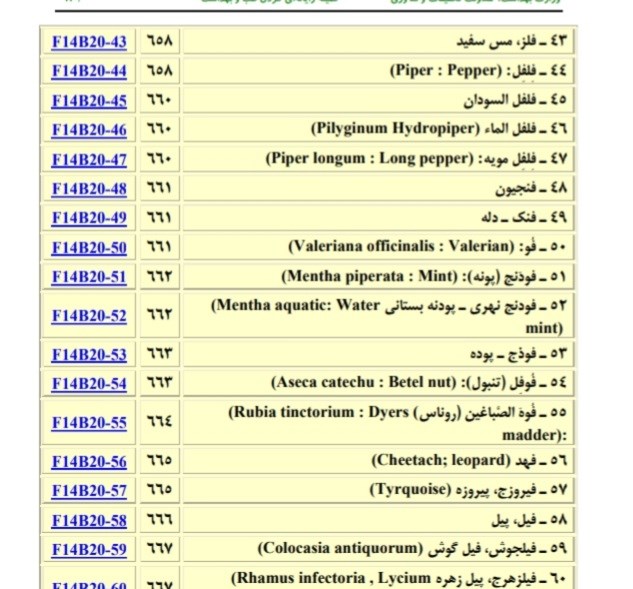 مخزن الادویه