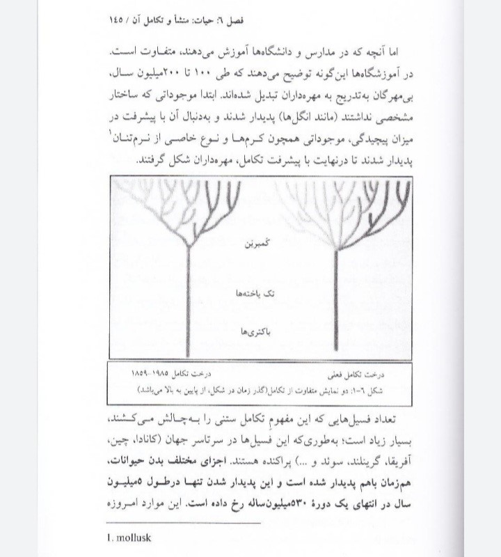 علم الهی