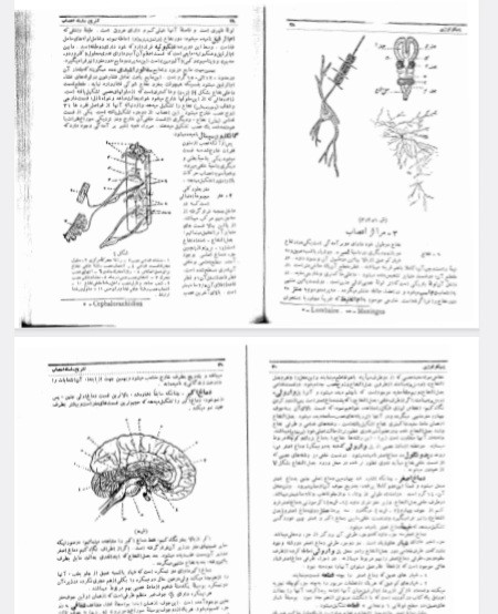 پسیکولوژی ،علم الروح