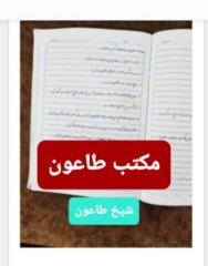 کتاب مکتب طاعون، شیخ طاعون