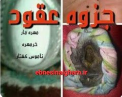 دانلود جزوه عقود رایگان pdf